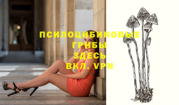 экстази Костерёво