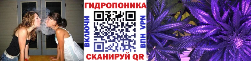 Шишки марихуана AK-47  Купить закладки  Менделеевск 
